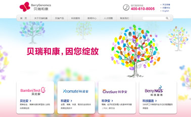 企业网站制作